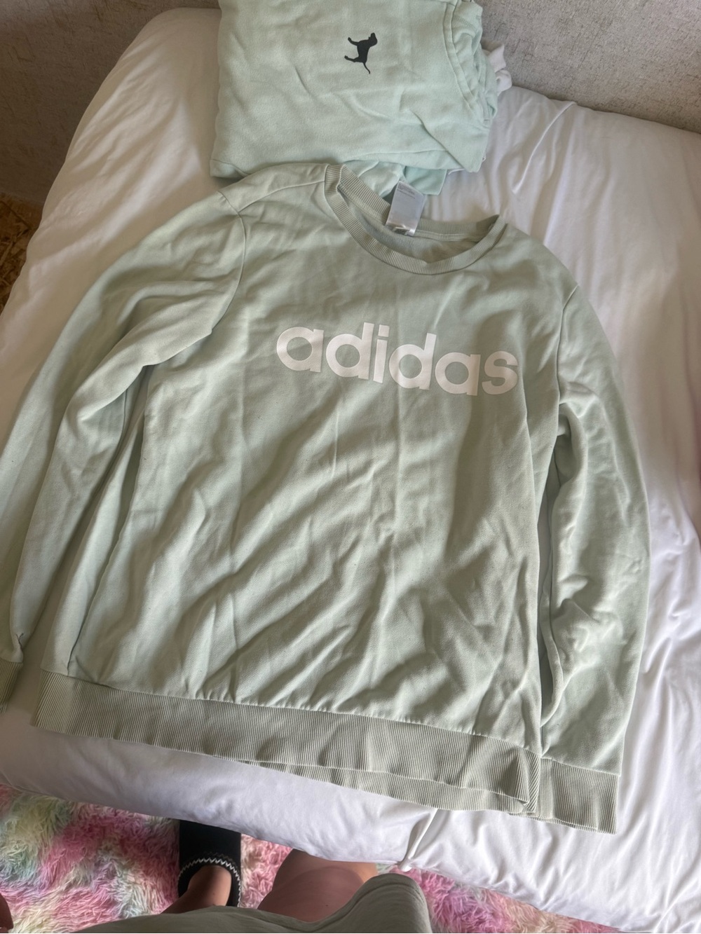 adidas Mint Green Crewneck Sweatshirt with White Logo